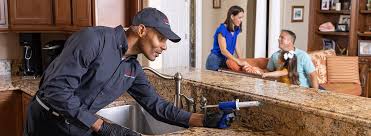 Best Real Estate Pest Inspections  in Linden, CA