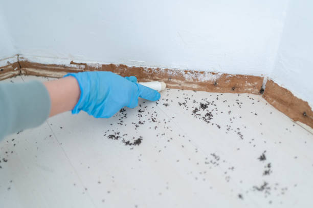 Best Pest Prevention Services  in Linden, CA